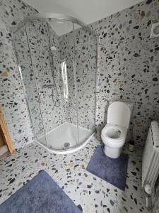 a bathroom with a shower with a toilet and a tub at Cozy Town house in Athlone