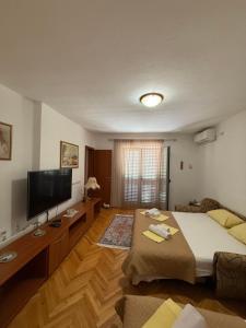 a bedroom with a bed and a flat screen tv at Apartment Stana in Petrovac na Moru