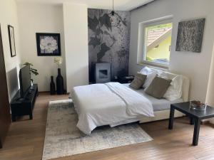 Μια τηλεόραση ή/και κέντρο ψυχαγωγίας στο Efeunest - Stilvolles Apartment mit Balkon