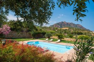 a pool in a garden with a mountain in the background at Villa Azzurra con piscina in Tertenìa