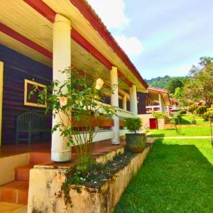 a house with some plants on the side of it at Pousada das Montanhas - Monte Verde in Monte Verde +17 photos