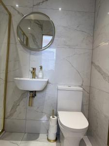 a bathroom with a sink and a toilet and a mirror at Murraygate Townhouse in Dundee