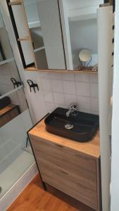 a bathroom with a sink and a mirror at "Les barbiots" Jolie dépendance proche plages in Offranville +7 photos
