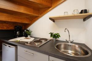 a kitchen with a sink and a counter top at Gästehaus Sulsdorf Wohnung 15 in Sulsdorf auf Fehmarn