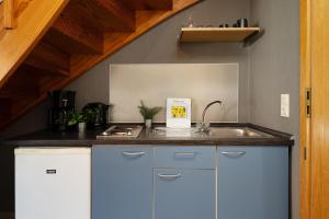 a kitchen with a sink and a counter at Gästehaus Sulsdorf Wohnung 16 in Sulsdorf auf Fehmarn