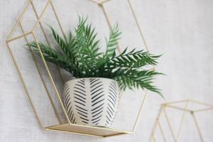 a gold and white vase with a plant in it at 2 Bed Semi House - Driveway Parking in Lancaster