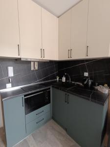 Kuchyň nebo kuchyňský kout v ubytování Green Apart Residence Including Parking Place