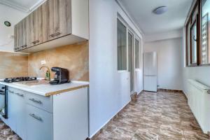 RoşuにあるMilitari Residence Deluxe 3 Roomsの白いキャビネットと冷蔵庫のあるキッチン +9枚の写真