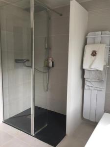 a shower with a glass door in a bathroom at Farm with view, horses and castles, plain nature in La Ferté-Saint-Cyr