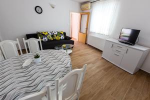 Televízia a/alebo spoločenská miestnosť v ubytovaní Apartman Boris