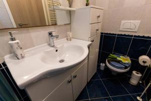 Kúpeľňa v ubytovaní Apartman Boris