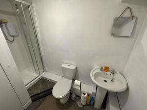 a bathroom with a toilet and a sink and a shower at Castle Walk Apartment in Stirling