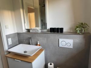 a bathroom with a sink and a mirror at WohlfühlWerk L4 in Mechernich
