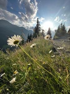 Φυσικό τοπίο κοντά σε αυτό το διαμέρισμα