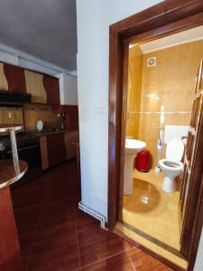 a bathroom with a toilet and a sink at Casa Gabi in Bran