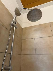 a shower with a shower head in a bathroom at Monteur- und Ferienwohnung Ketsch in Ketsch