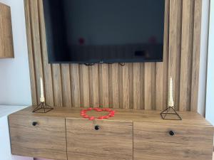 TV a/nebo společenská místnost v ubytování Hotel Vila AARON