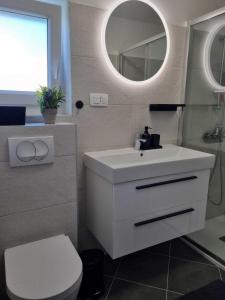 a bathroom with a sink and a toilet and a mirror at Kuca za Odmor Ena in Jadranovo