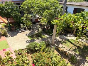 Giardino di Shkreli Apartments