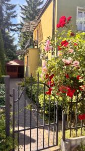 a fence with red flowers in front of a house at House in the City Center 1 piętro in Przemyśl
