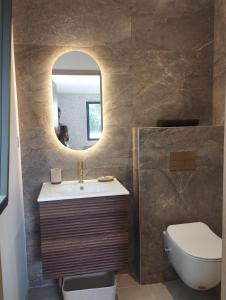 Un baño con lavabo, inodoro y espejo. en Studio dans Maison Familiale, en Locoal-Mendon