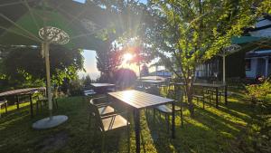 Aed väljaspool majutusasutust Berghof Grüner Baum