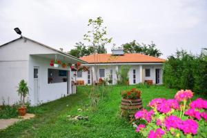 Κήπος έξω από το Casa Georgy