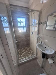 a bathroom with a shower and a sink at The Dream Guesthouse in Ermelo +28 photos