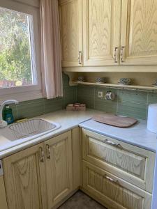 Η κουζίνα ή μικρή κουζίνα στο Eleni's house