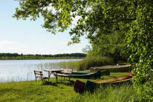 a group of boats sitting on the grass next to a lake at Hornsjöns Pensionat in Löttorp
