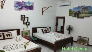 Postel nebo postele na pokoji v ubytování Oleena Home Stay