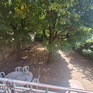 einen Tisch und Stühle in einem Garten mit Bäumen in der Unterkunft Villa Petit Prince - Logement entier in La Celle-sous-Gouzon