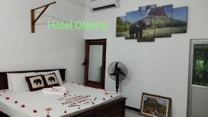 Postel nebo postele na pokoji v ubytování Oleena Home Stay