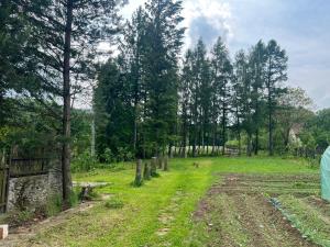 Taman di luar Zajazd Lipowica