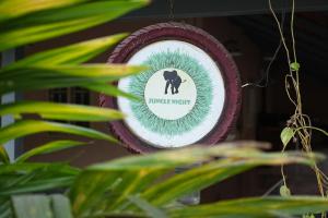 Certifikát, hodnocení, plakát nebo jiný dokument vystavený v ubytování Jungle night