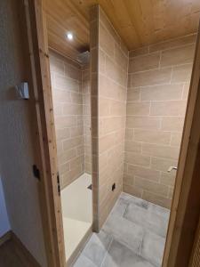 a shower with a glass door in a bathroom at Ma P'tite Étoile in Le Grand-Bornand