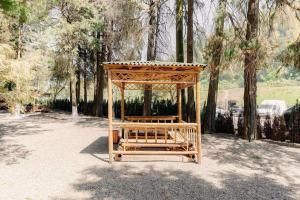 Zahrada ubytování Bamboo beach tsikhisdziri