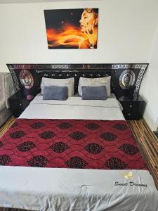 Fotografie z fotogalerie ubytování Casa Laur v destinaci Sulina + 58 fotografií