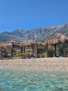 a beach with a bunch of straw umbrellas at Olive Breeze Drymades in Dhërmi