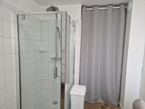 a bathroom with a shower and a toilet at Appartement rénové Au Rain Grébatte avec terrasse in La Croix-aux-Mines +12 photos