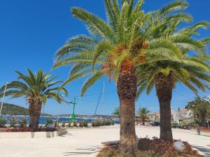 a group of palm trees on a beach at Apartment Nada in Rogoznica