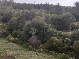 Landskap semula jadi dekat dengan vila ini +22 gambar