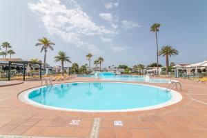 basen w ośrodku z krzesłami i palmami w obiekcie Beautiful Bungalow Maspalomas Lago w mieście Maspalomas
