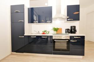 Η κουζίνα ή μικρή κουζίνα στο Brise Villa Ruthenberg App 1