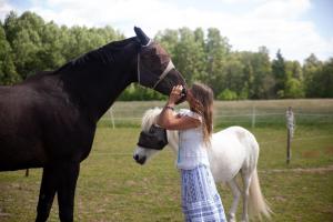 Altri animali domestici presso il campeggio di lusso o nei dintorni