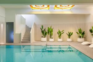 ポルトにあるSavvy Signature Apartmentsの植物のプール