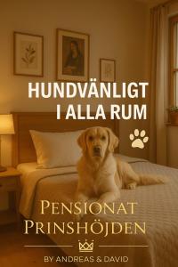Fotografie z fotogalerie ubytování Pensionat Prinshöjden - Tiny Corner v destinaci Katrineholm