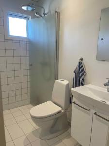 ein Badezimmer mit Toilette, Dusche und Waschbecken in der Unterkunft Charming House With Sea View And Large Plot in Sandkås + 16 Fotos