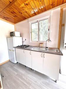 Kuchyň nebo kuchyňský kout v ubytování Camping Totana Park