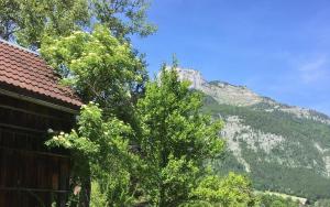 a tree next to a building with a mountain at Haus Schartner Aloisia in Altaussee +11 photos